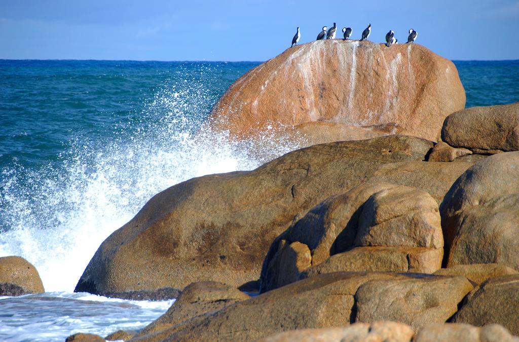 Cloudy Bay Beach House South Bruny Екстериор снимка