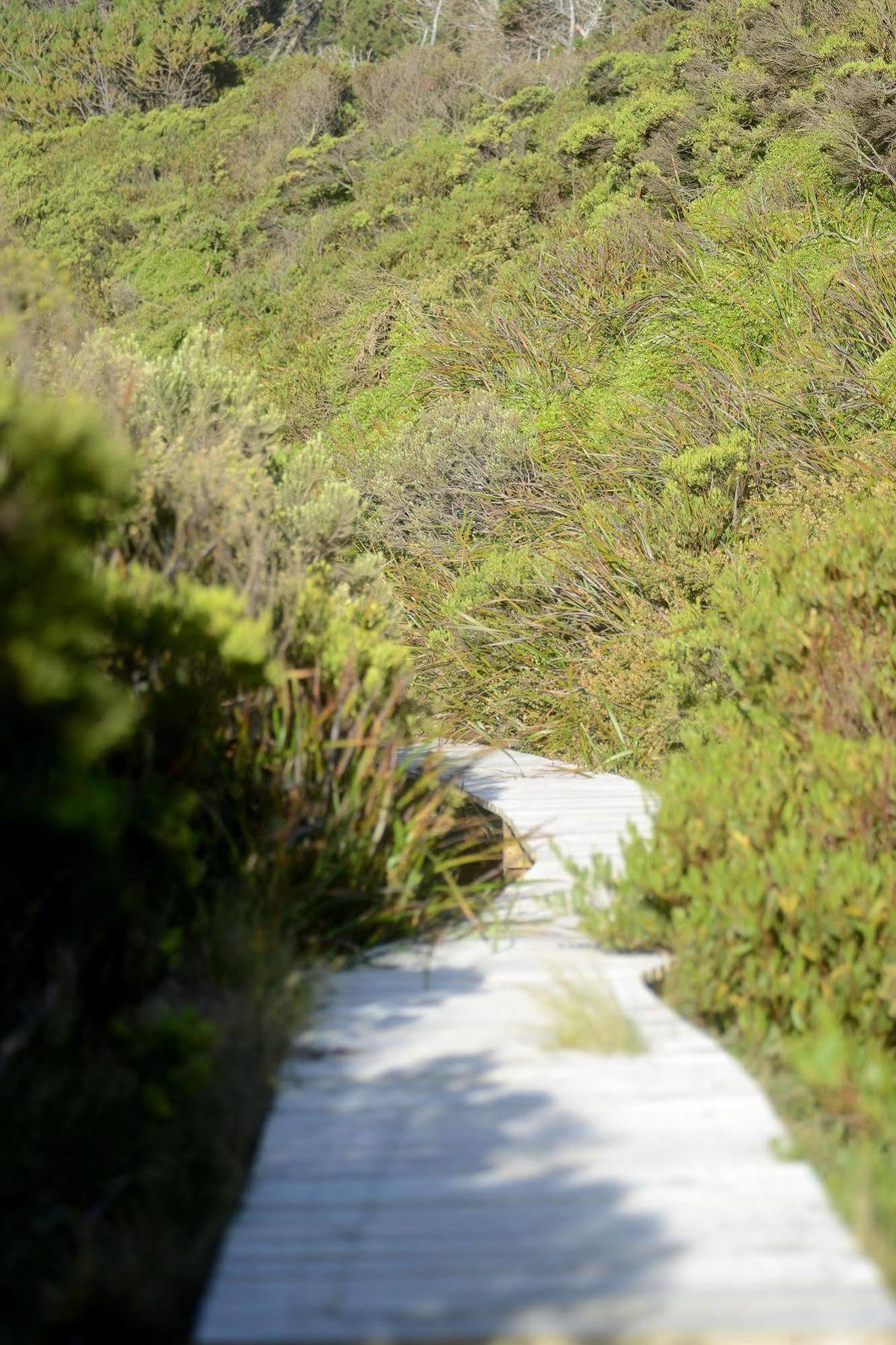 Cloudy Bay Beach House South Bruny Екстериор снимка